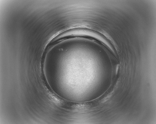 X0000066090834200603131201