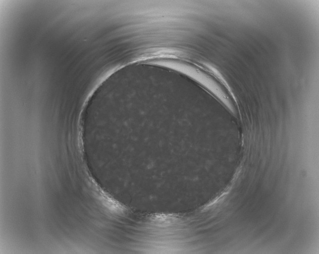 X0000066090835200603131201