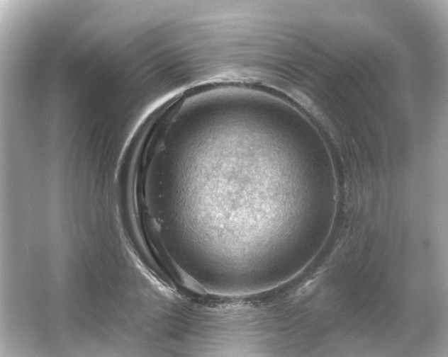 X0000066090838200603131201