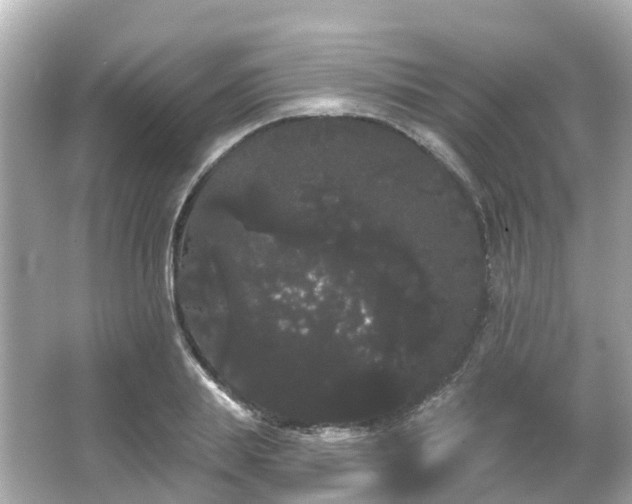 X0000066090839200603131201