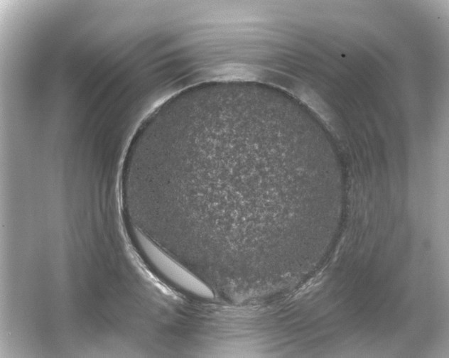 X0000066090840200603131201