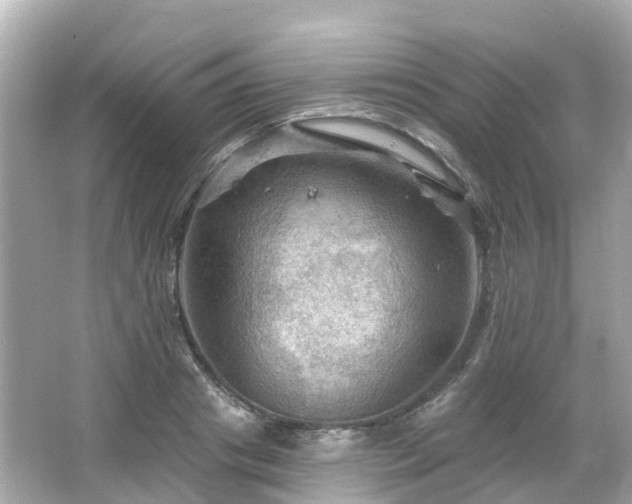 X0000066090841200603131201