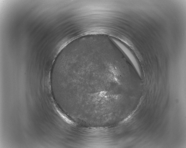 X0000066090842200603131202