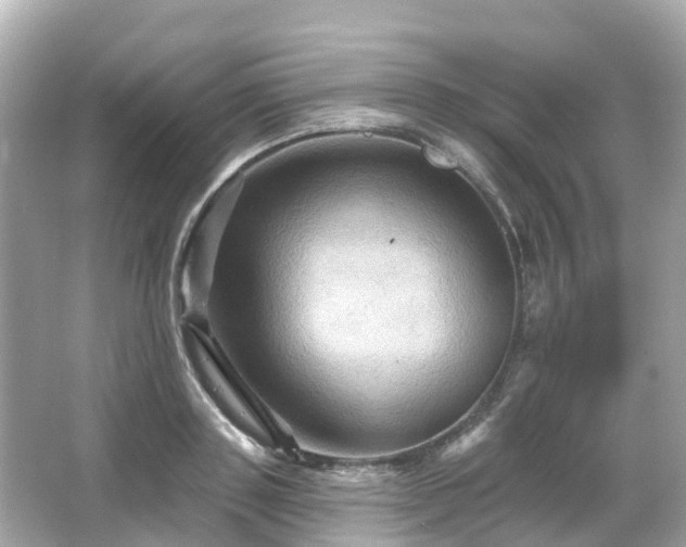 X0000066090843200603131202