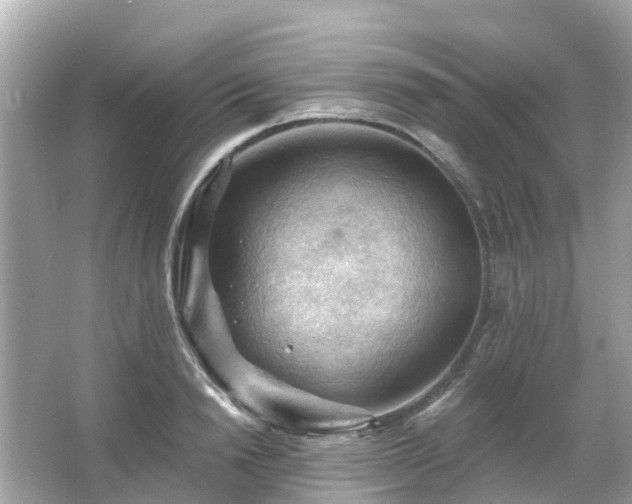 X0000066090846200603131202