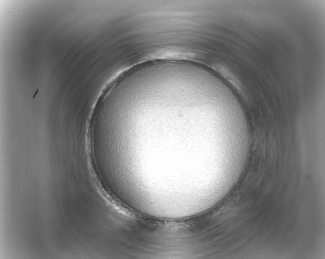 X0000066090848200603131202