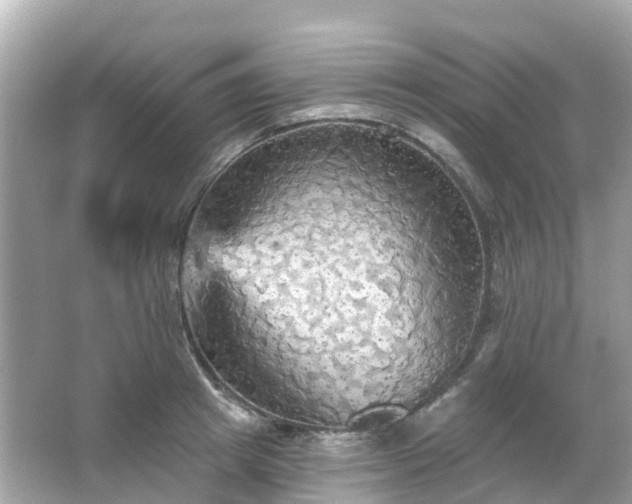 X0000066090849200603131202