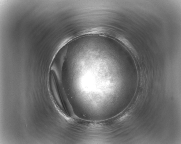 X0000066090850200603131202