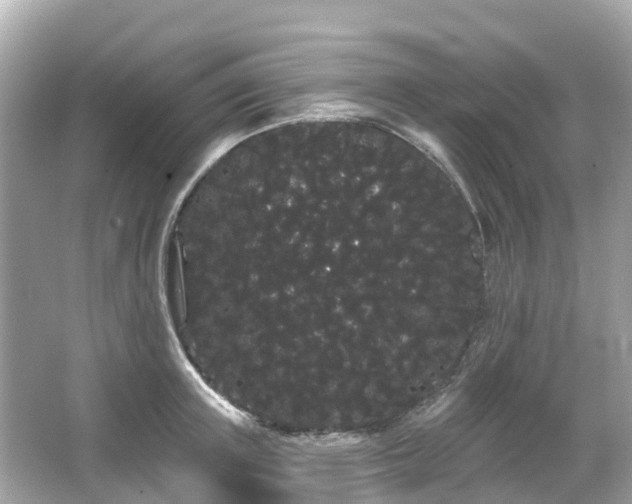 X0000066090851200603131202