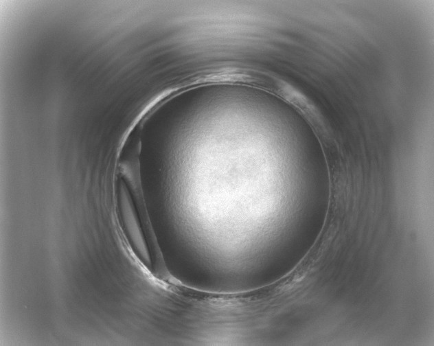 X0000066090852200603131202