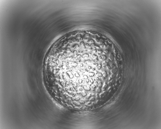 X0000066090853200603131202