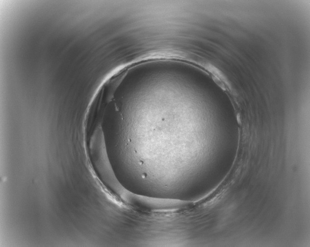 X0000066090854200603131202