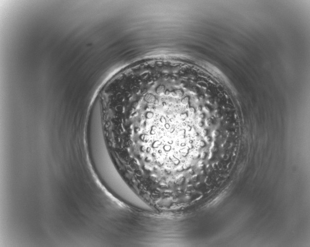 X0000066090855200603131202