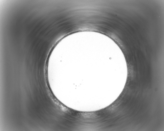 X0000066090856200603131202