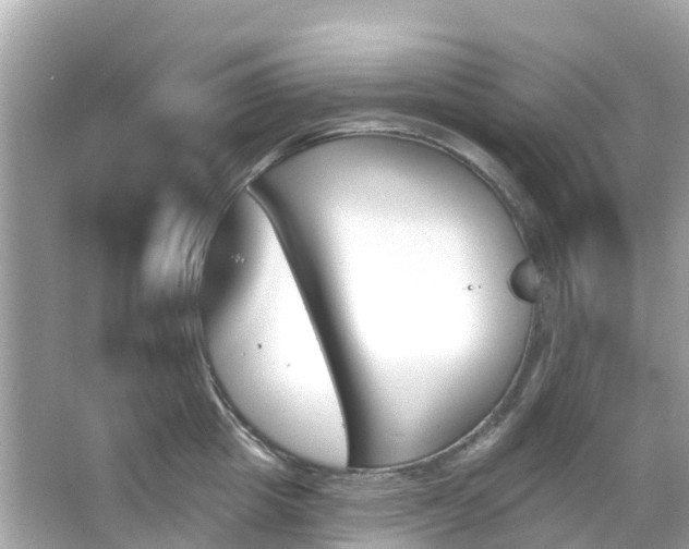 X0000066090857200603131202