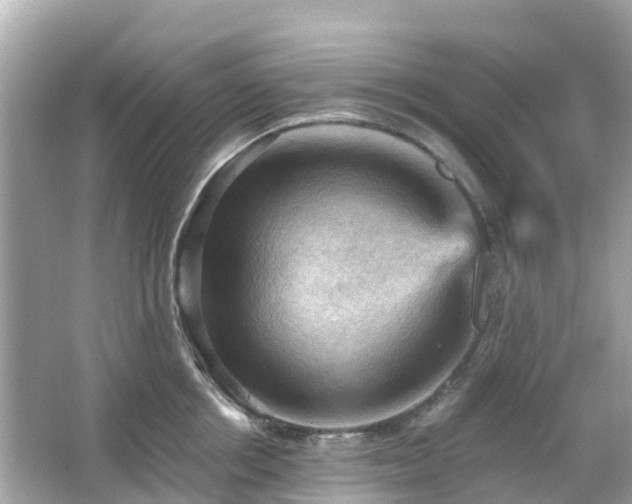 X0000066090858200603131202