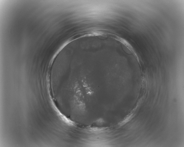 X0000066090859200603131202