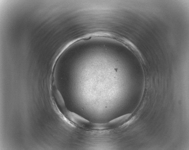 X0000066090860200603131202