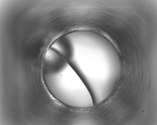 X0000066090861200603131202