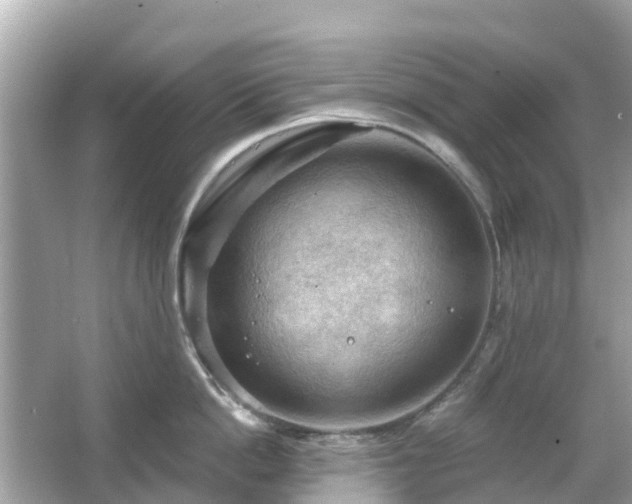 X0000066090862200603131202