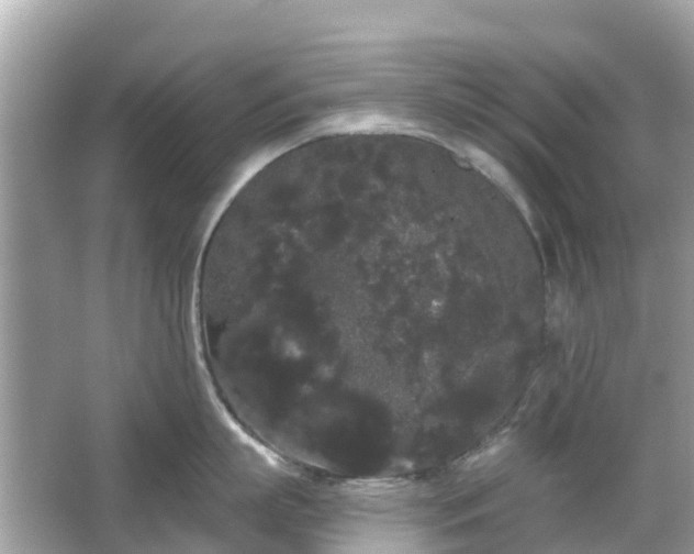 X0000066090863200603131202