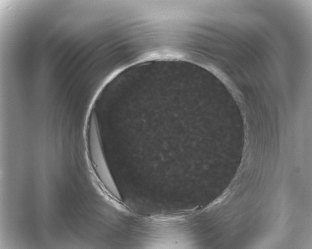 X0000066090864200603131202