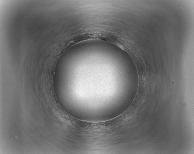 X0000066090865200603131201