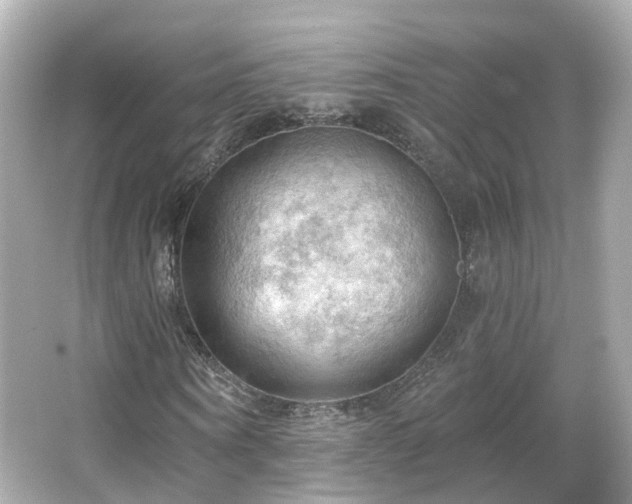 X0000066090866200603131201