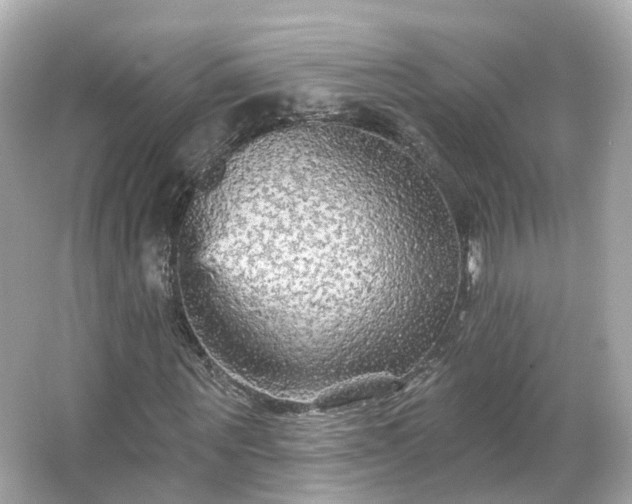 X0000066090867200603131201