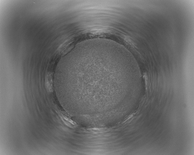 X0000066090868200603131201