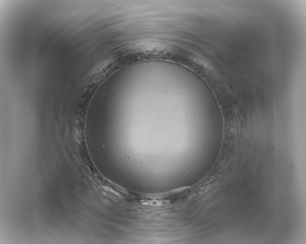 X0000066090869200603131201