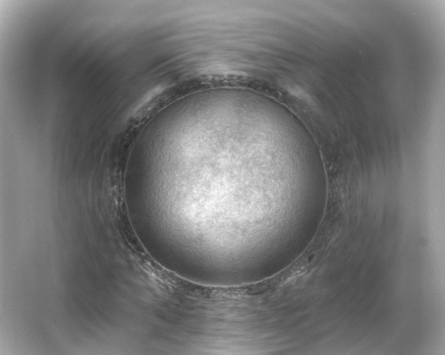 X0000066090870200603131201