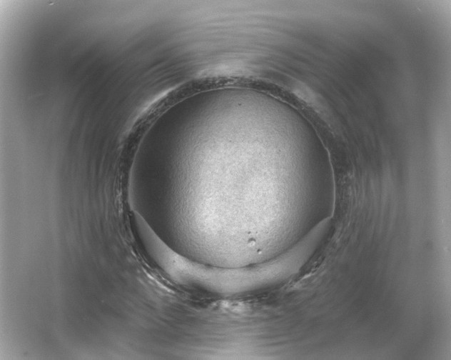 X0000066090872200603131201