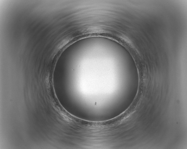 X0000066090873200603131201