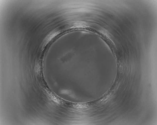 X0000066090874200603131201