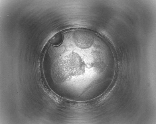 X0000066090875200603131201