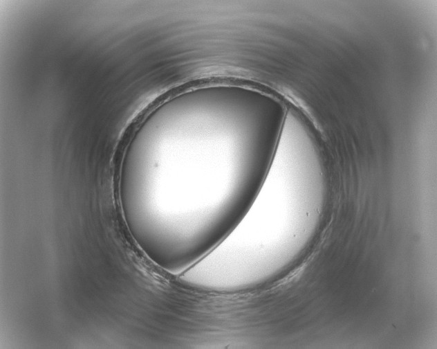 X0000066090877200603131201