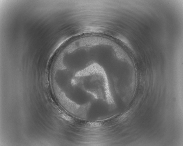 X0000066090878200603131201