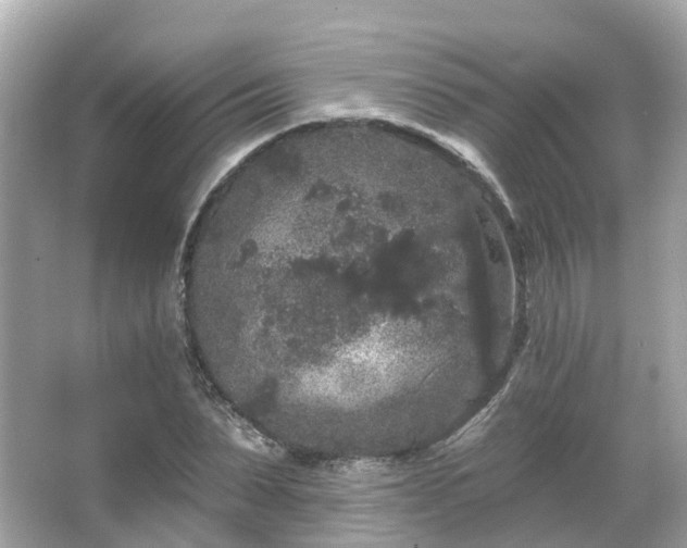 X0000066090879200603131201