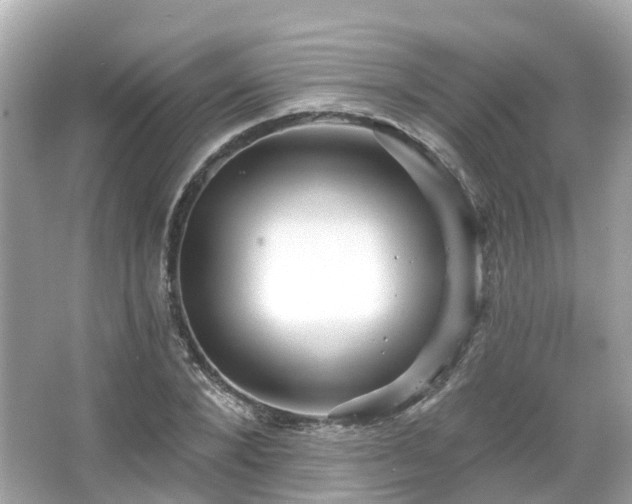 X0000066090880200603131201