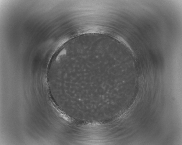 X0000066090882200603131201