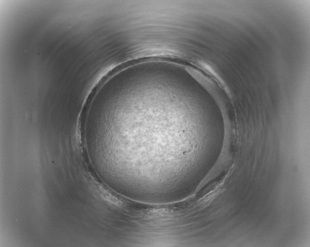 X0000066090883200603131201