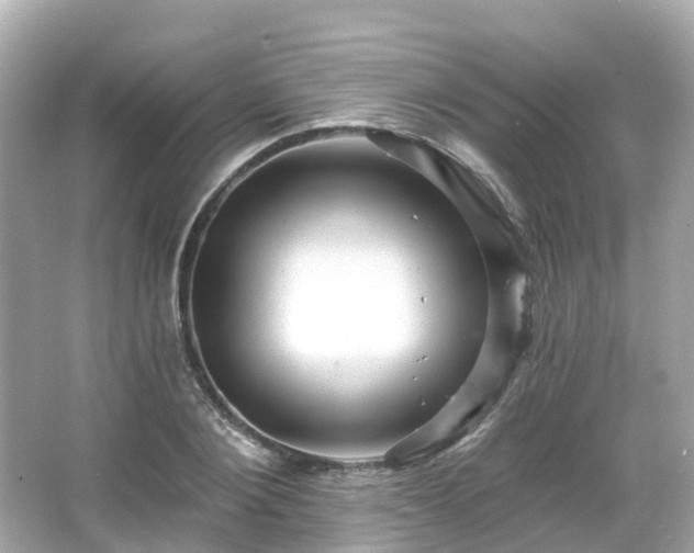 X0000066090884200603131201