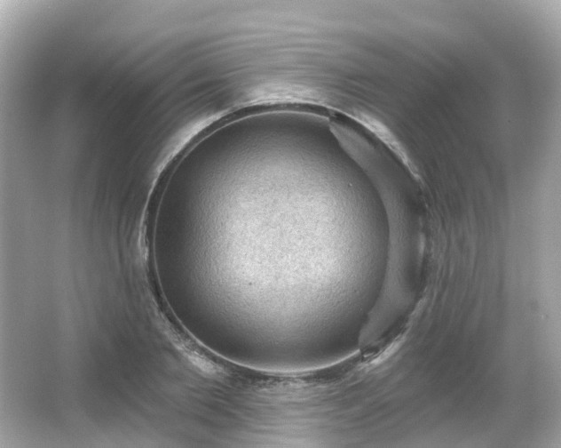 X0000066090885200603131201