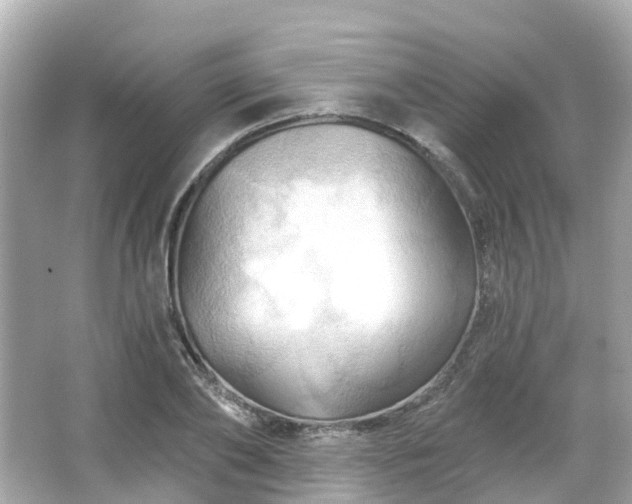 X0000066090886200603131201