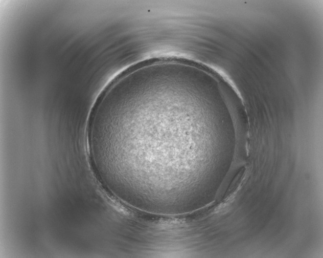 X0000066090887200603131201