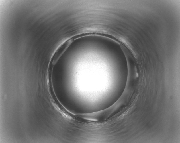 X0000066090888200603131201