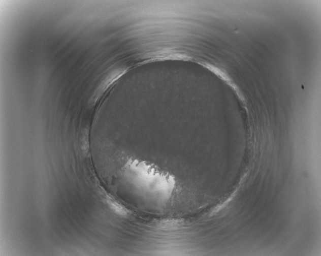 X0000066090889200603131201