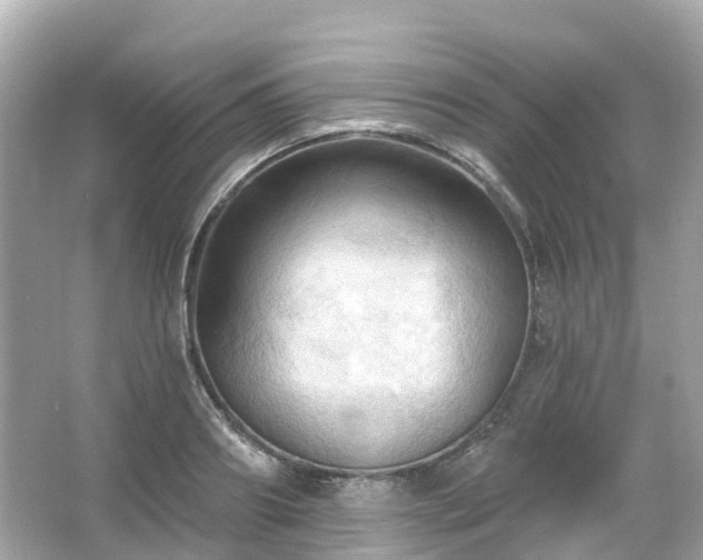 X0000066090890200603131201