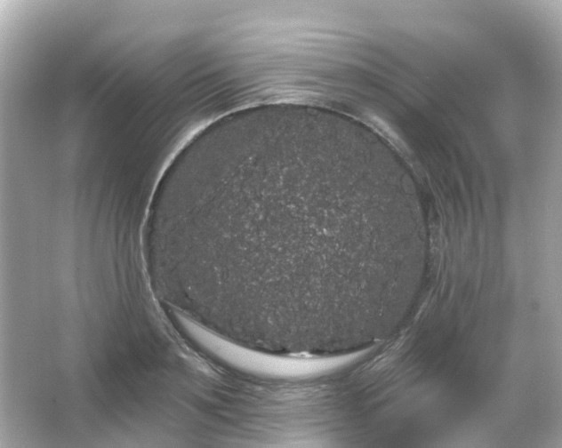 X0000066090891200603131201